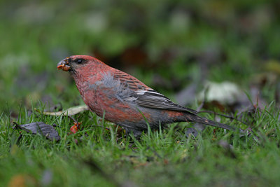 BUITEN BEELD Foto: 1845