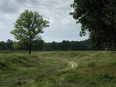 BUITEN BEELD Foto: 1878