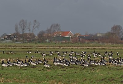 BUITEN BEELD Foto: 19578