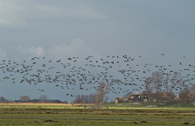 BUITEN BEELD Foto: 19586