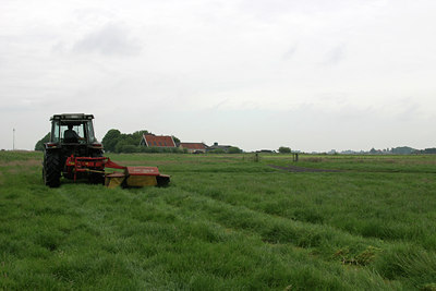 BUITEN BEELD Foto: 19801