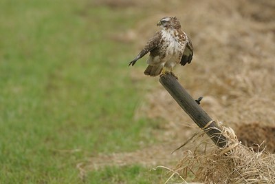 BUITEN BEELD Foto: 19989