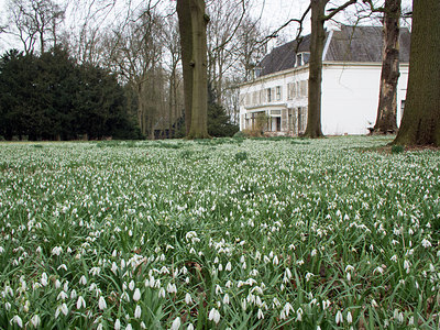 BUITEN BEELD Foto: 199566