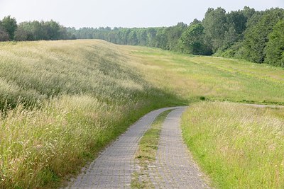 BUITEN BEELD Foto: 199637