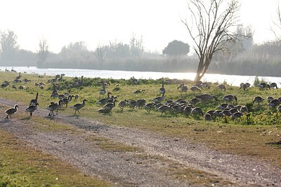 BUITEN BEELD Foto: 199652