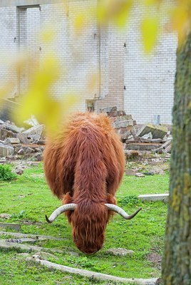 BUITEN BEELD Foto: 200170