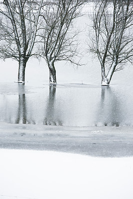 BUITEN BEELD Foto: 200255