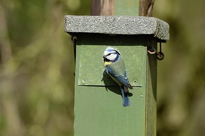 BUITEN BEELD Foto: 200613