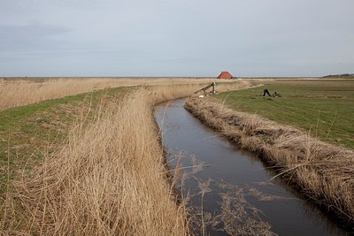 BUITEN BEELD Foto: 200730