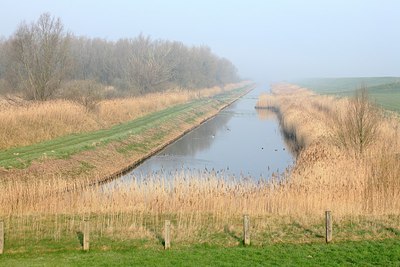 BUITEN BEELD Foto: 200828