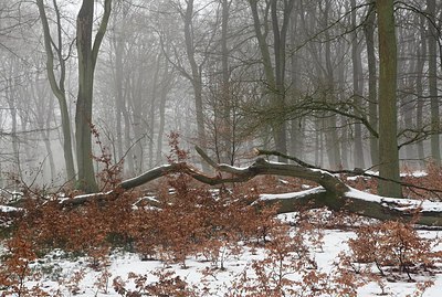 BUITEN BEELD Foto: 200950