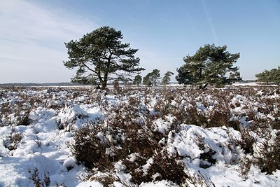 BUITEN BEELD Foto: 200977