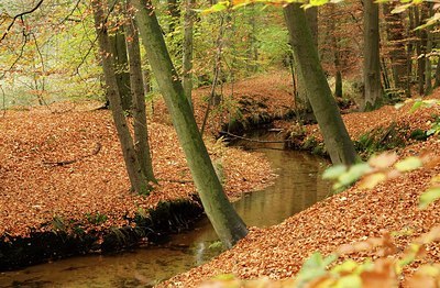 BUITEN BEELD Foto: 200987