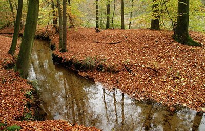 BUITEN BEELD Foto: 200989