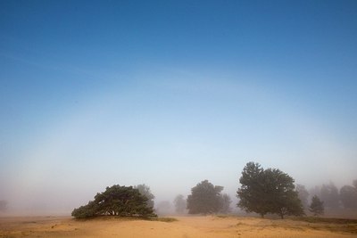 BUITEN BEELD Foto: 201029