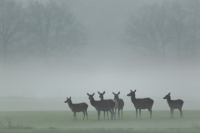 BUITEN BEELD Foto: 201142