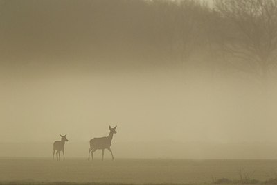 BUITEN BEELD Foto: 201144