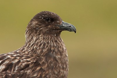 BUITEN BEELD Foto: 201152