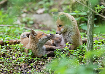 BUITEN BEELD Foto: 201229