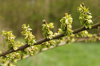 BUITEN BEELD Foto: 201230