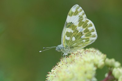 BUITEN BEELD Foto: 201804