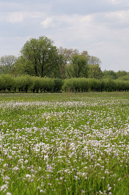 BUITEN BEELD Foto: 201874