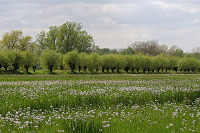 BUITEN BEELD Foto: 201875