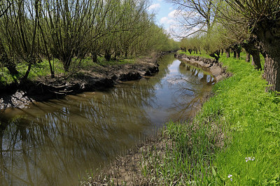 BUITEN BEELD Foto: 201912