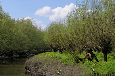 BUITEN BEELD Foto: 201937