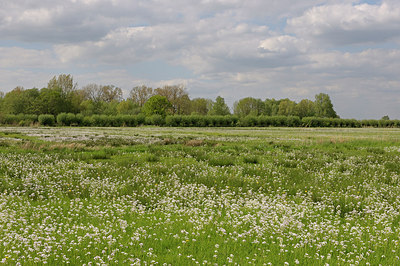 BUITEN BEELD Foto: 201948
