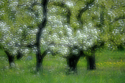BUITEN BEELD Foto: 202006