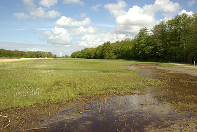 BUITEN BEELD Foto: 202010