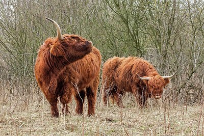 BUITEN BEELD Foto: 202048