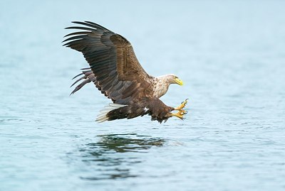 BUITEN BEELD Foto: 202106