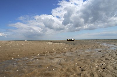 BUITEN BEELD Foto: 202161