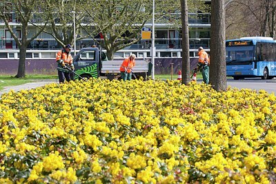 BUITEN BEELD Foto: 202164