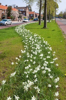 BUITEN BEELD Foto: 202178