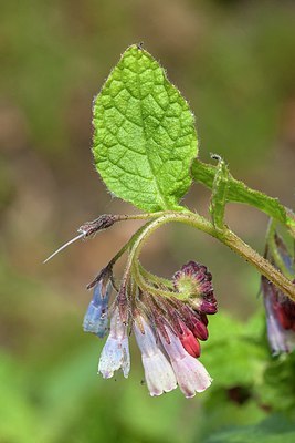 BUITEN BEELD Foto: 202191