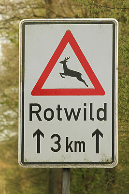BUITEN BEELD Foto: 202202