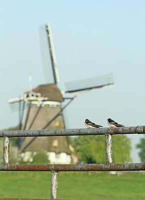 BUITEN BEELD Foto: 202234