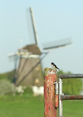 BUITEN BEELD Foto: 202235