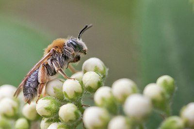 BUITEN BEELD Foto: 202246