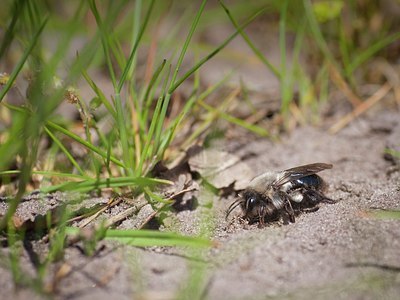 BUITEN BEELD Foto: 202250