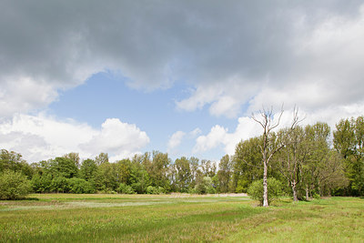 BUITEN BEELD Foto: 202261