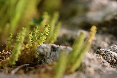 BUITEN BEELD Foto: 202393