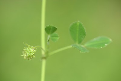 BUITEN BEELD Foto: 202420