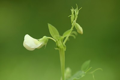 BUITEN BEELD Foto: 202495