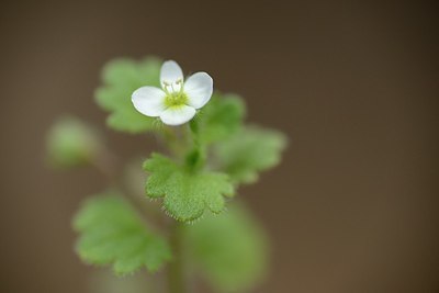 BUITEN BEELD Foto: 202512