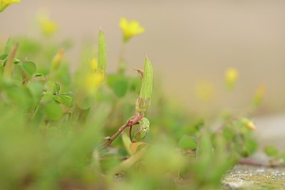 BUITEN BEELD Foto: 202516