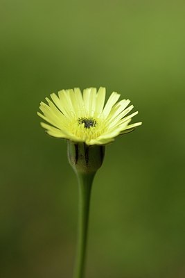 BUITEN BEELD Foto: 202599